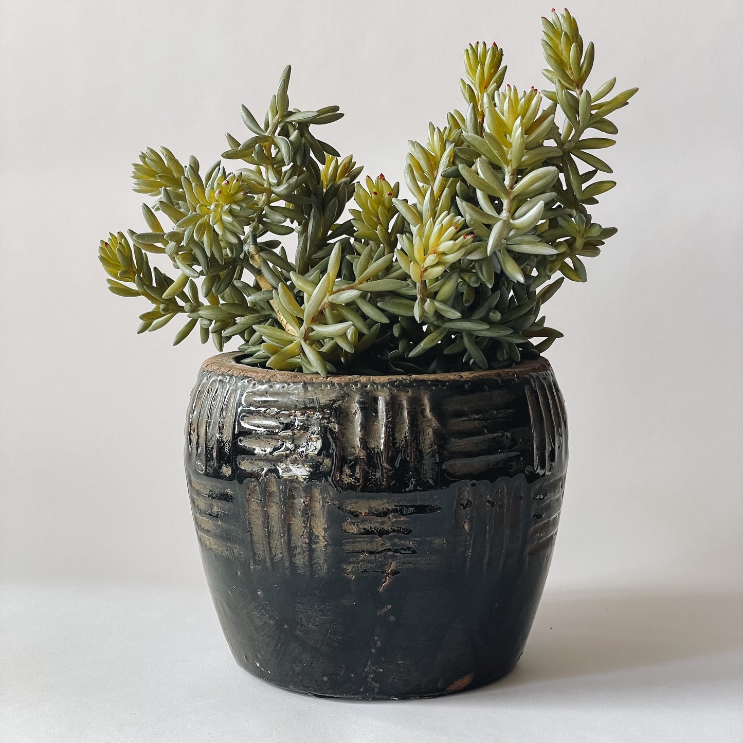 Nelson Noir Planter