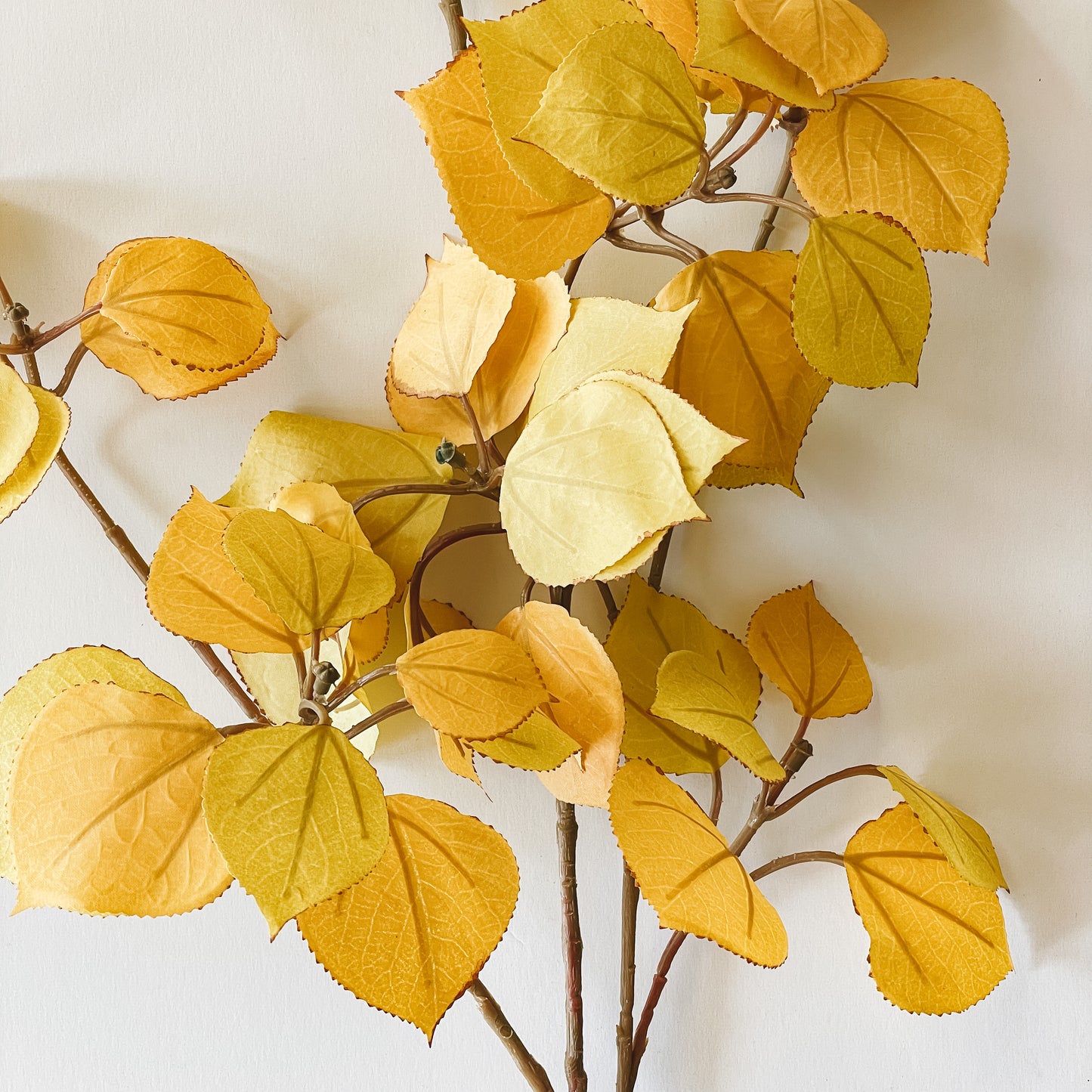 Aspen Leaf Spray