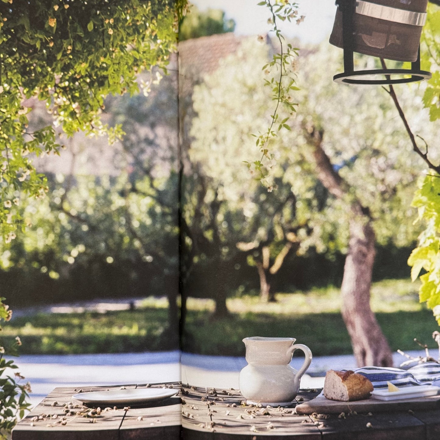This is Home Hardcover