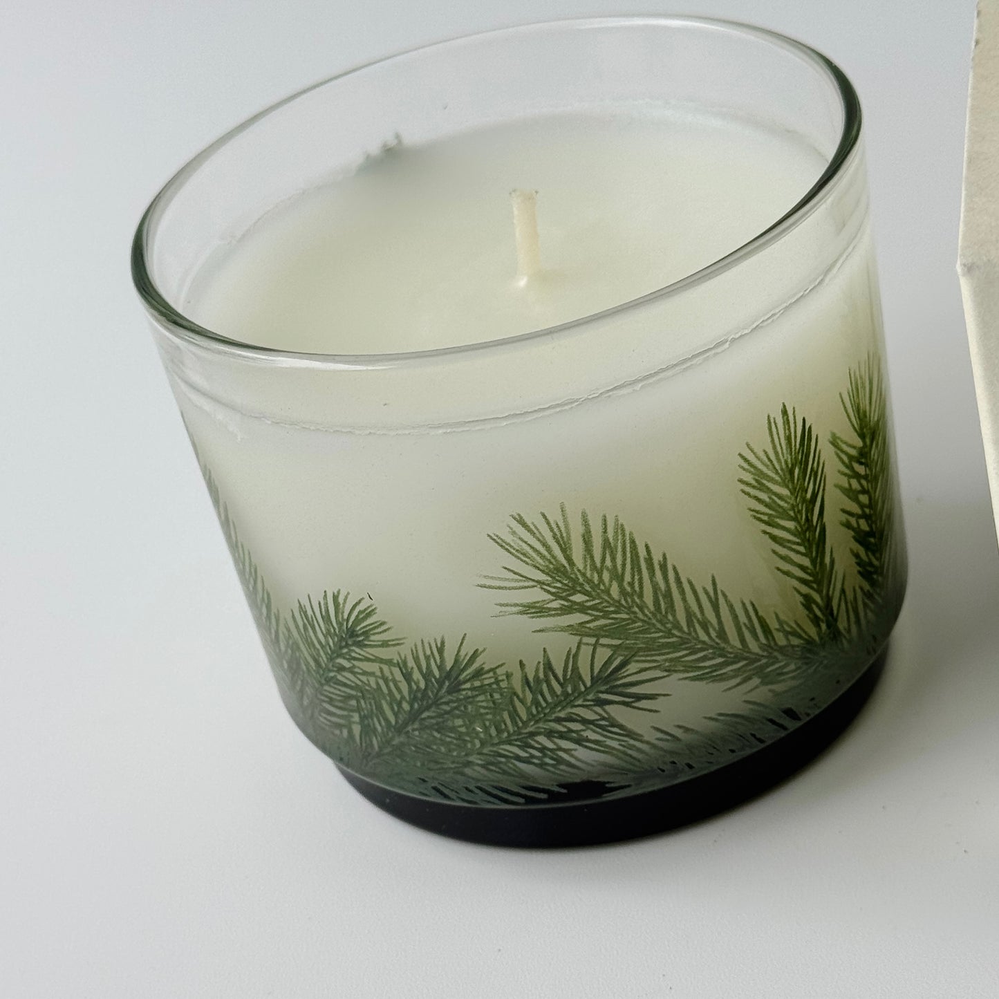 Thymes Frasier Fir Pine Luminary Candle
