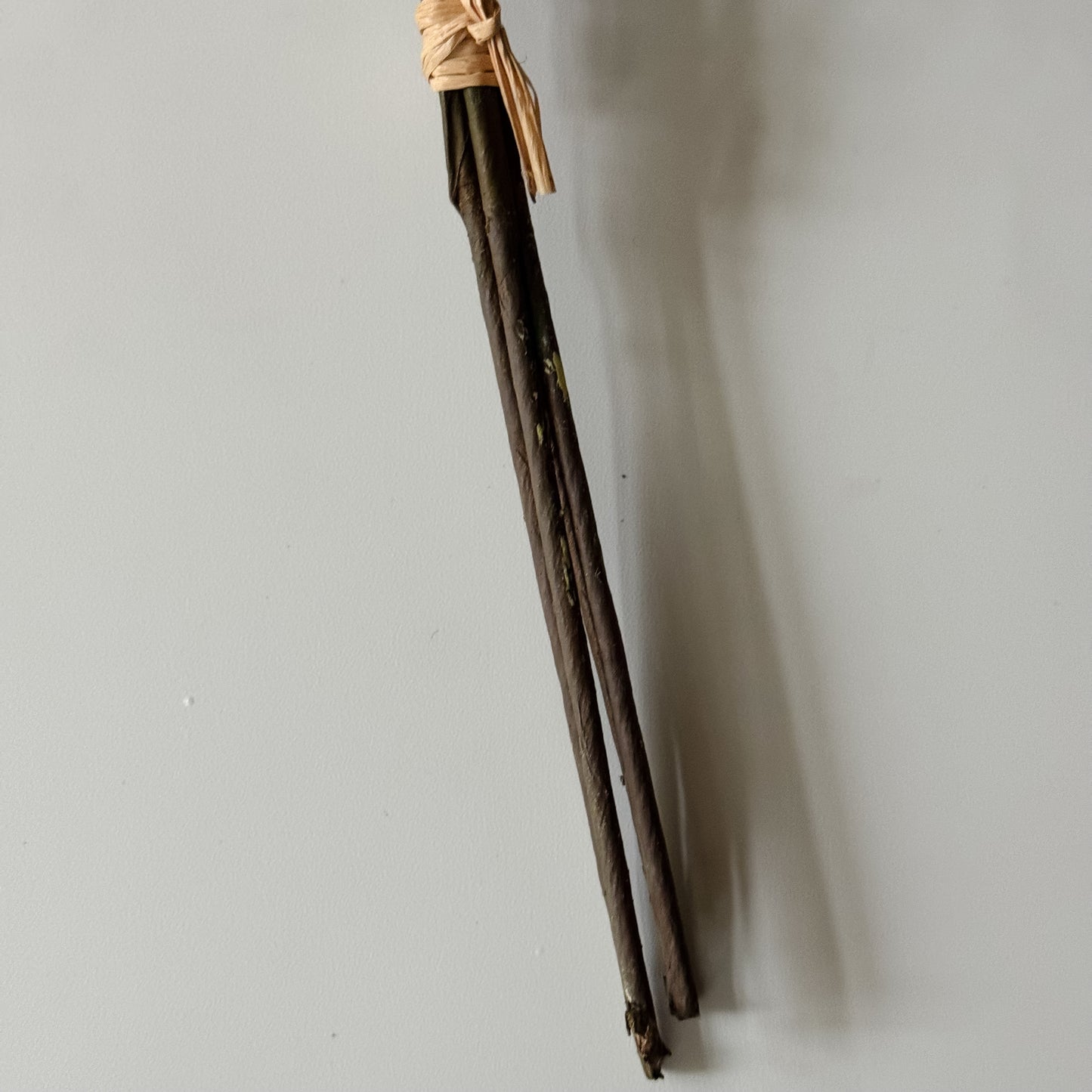 Cedar Pine Bundle | 17"
