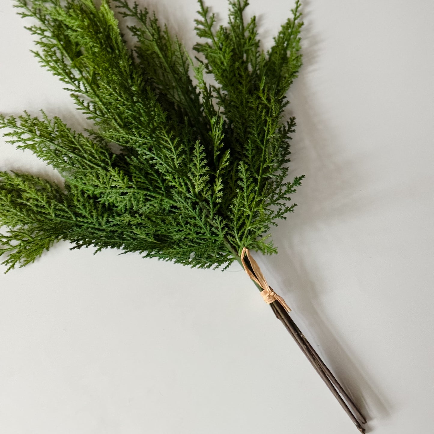 Cedar Pine Bundle | 17"
