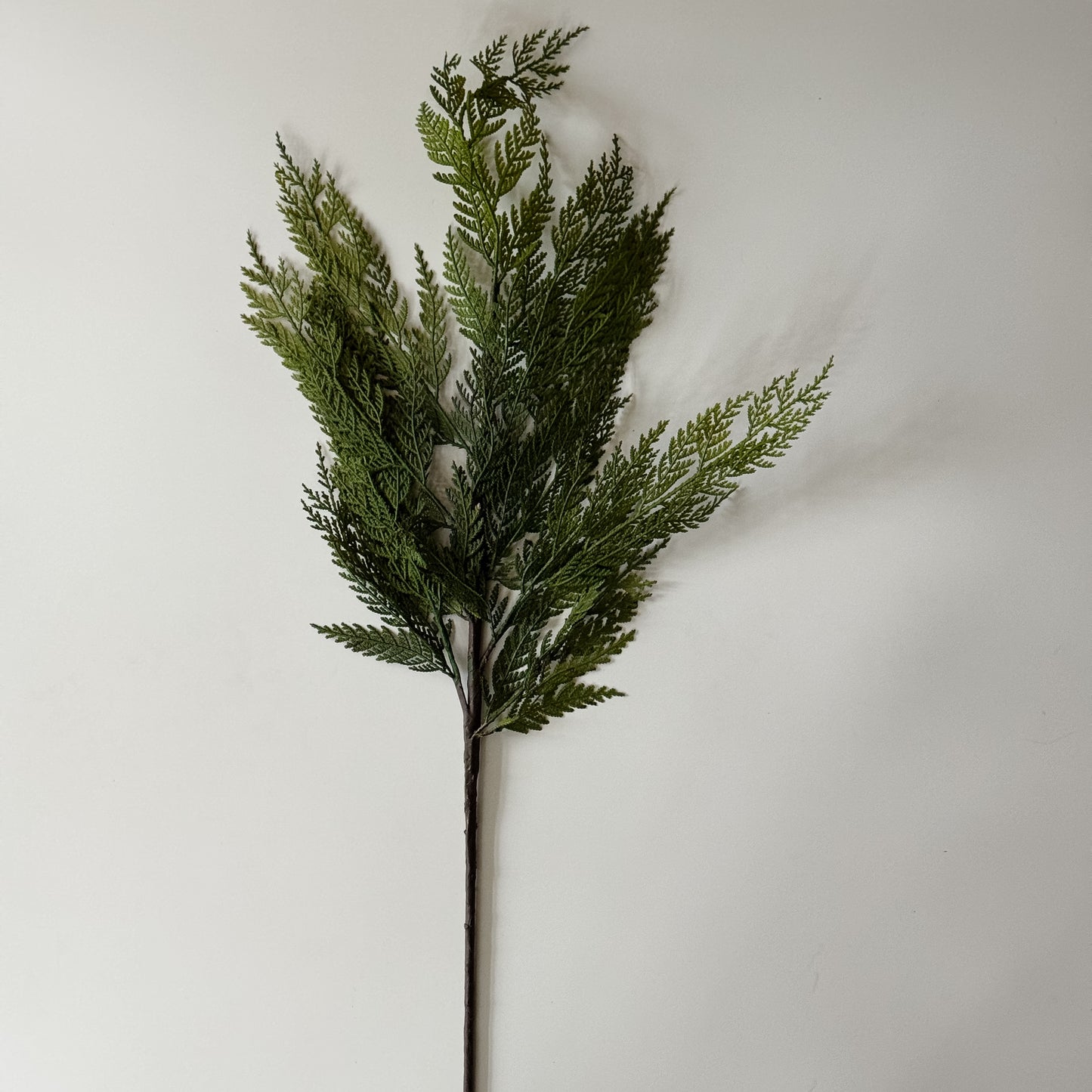 Cedar Pine Stem | 35"