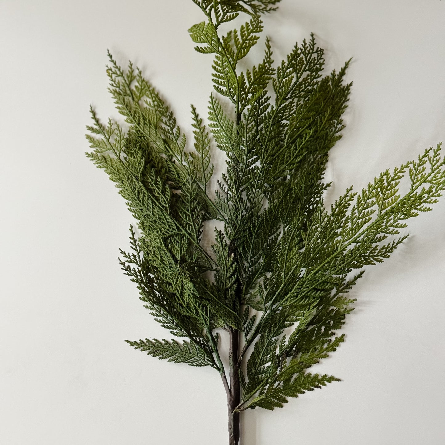 Cedar Pine Stem | 35"