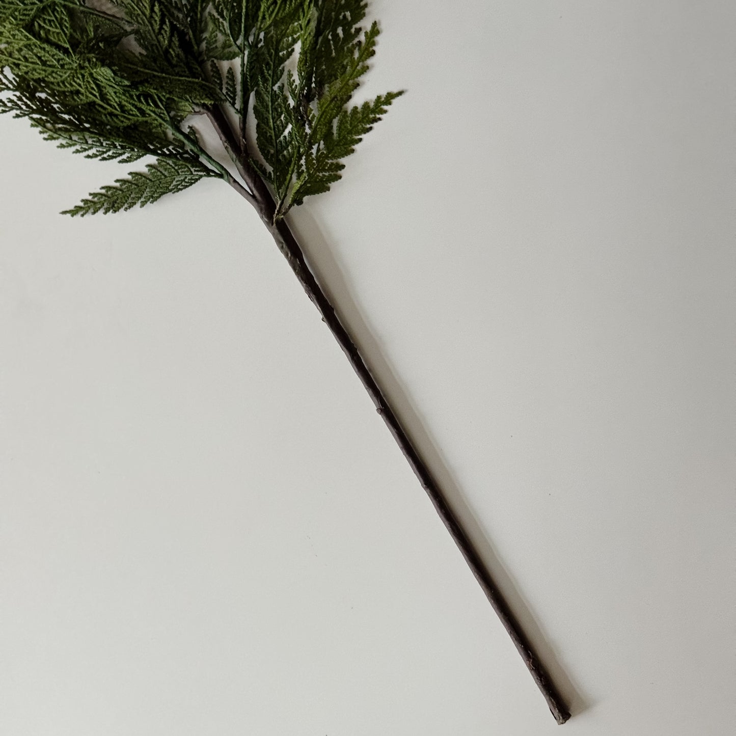Cedar Pine Stem | 35"