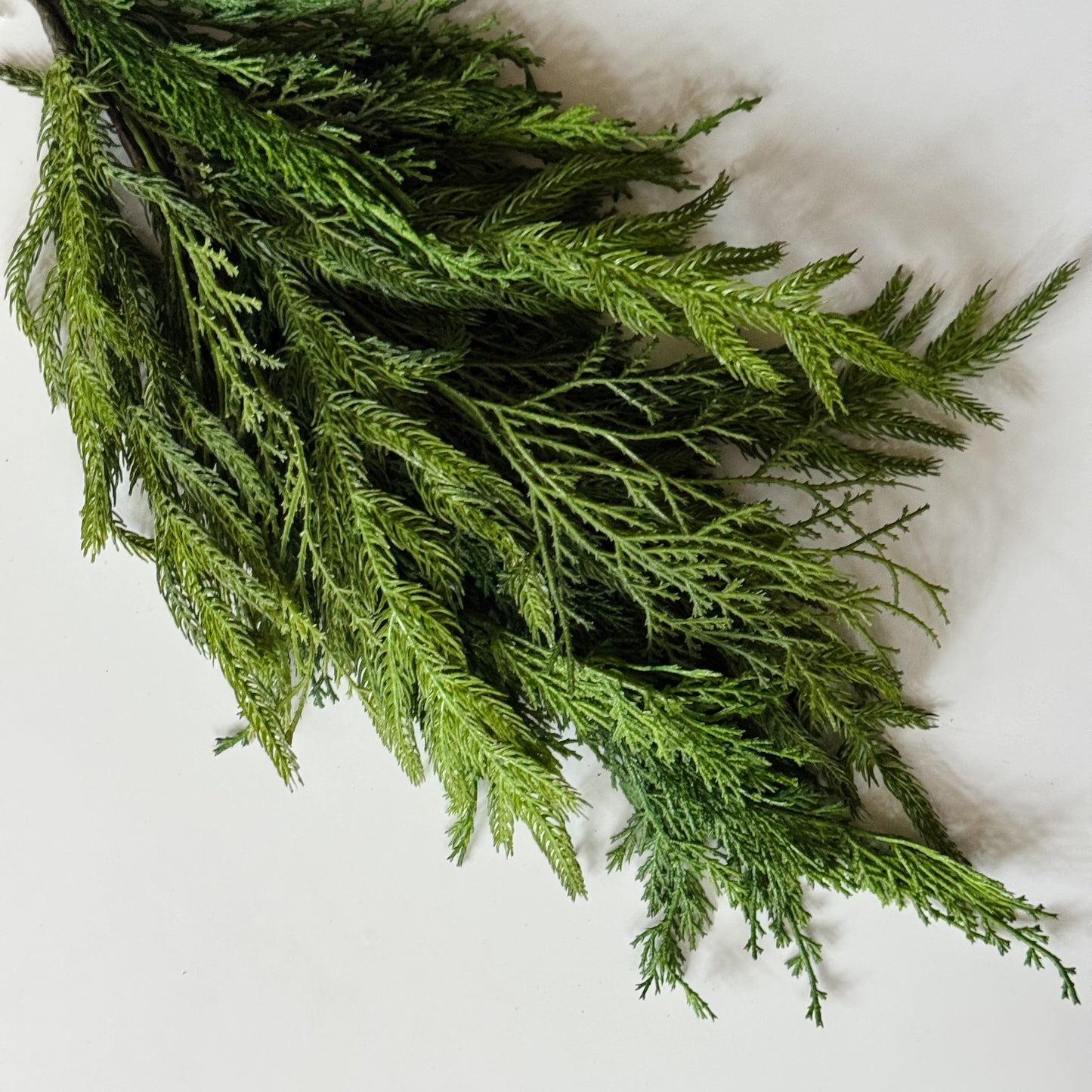 Nordic & Cedar Pine Bundle | 20"