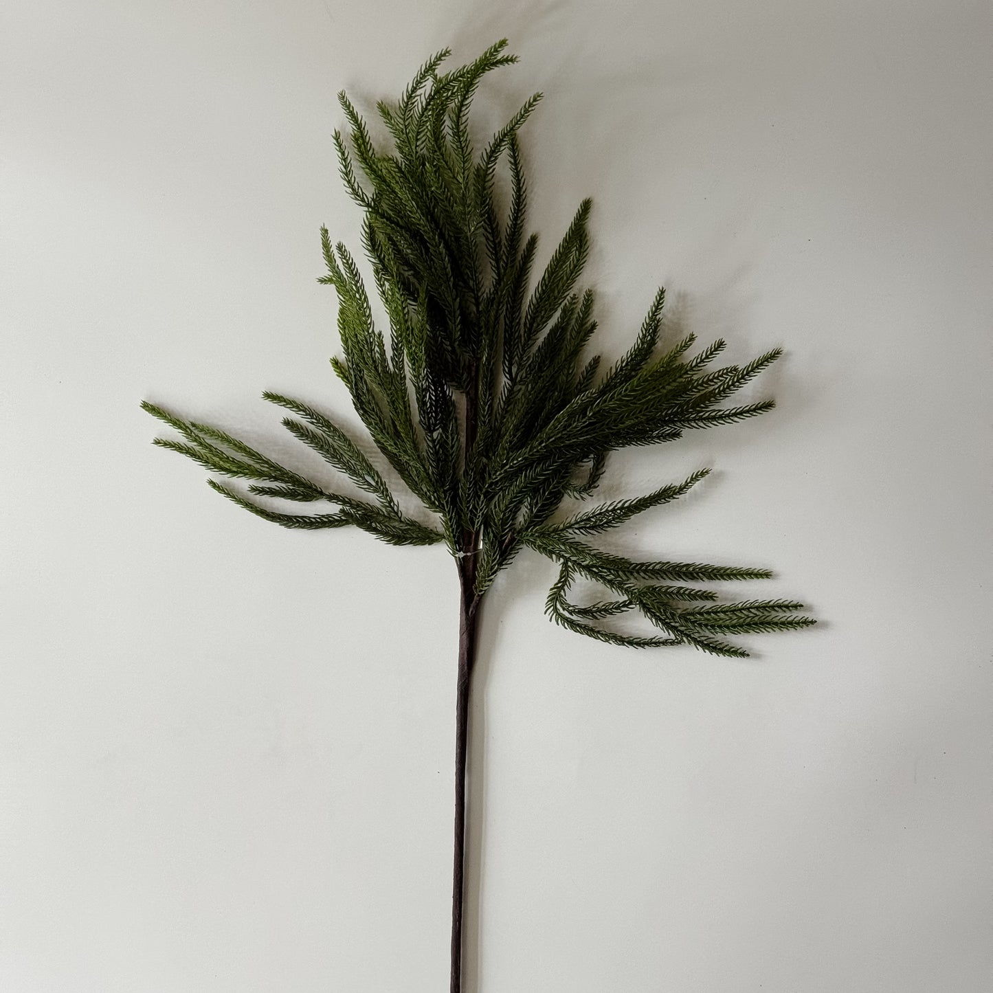 Nordic Pine Stem | 28"