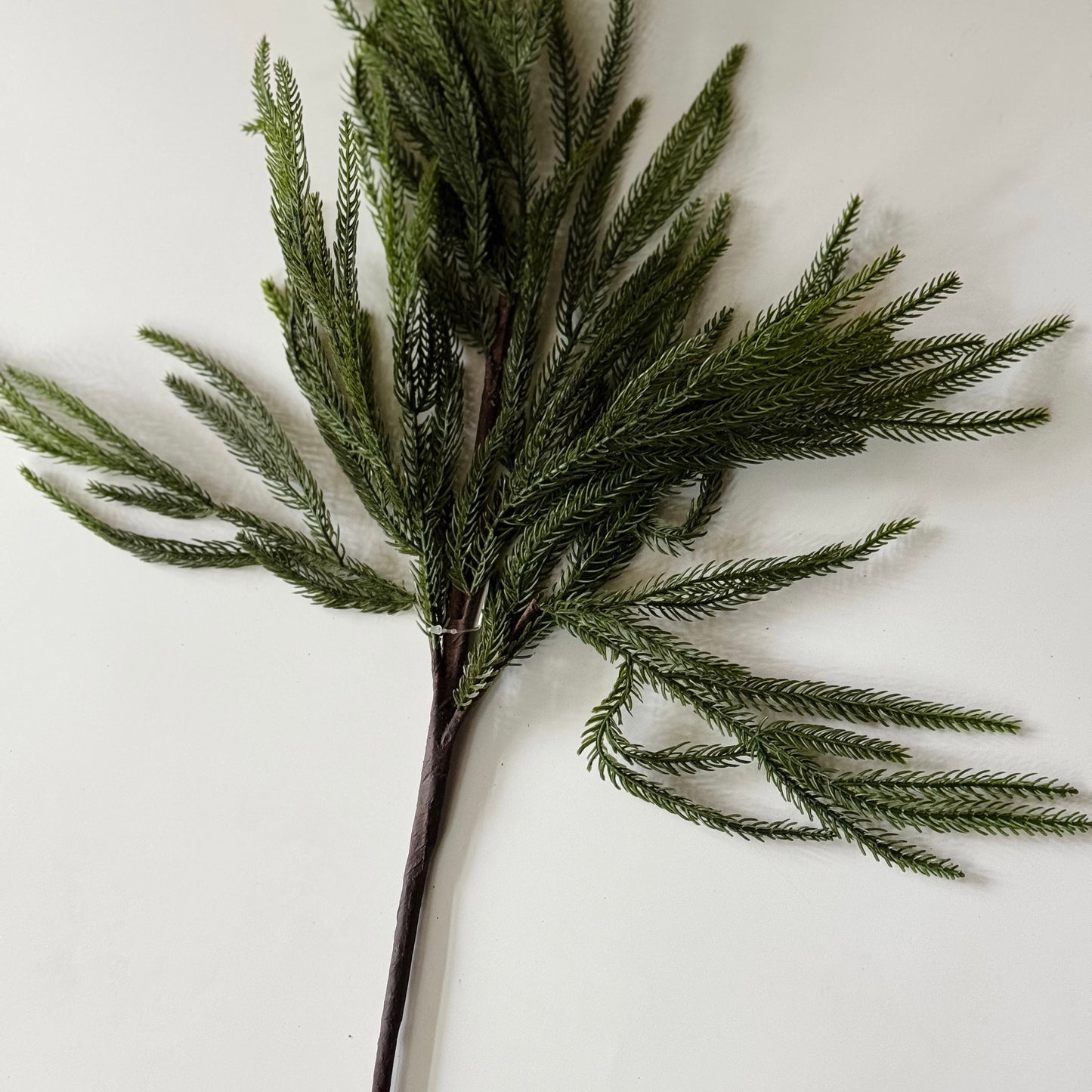 Nordic Pine Stem | 28"