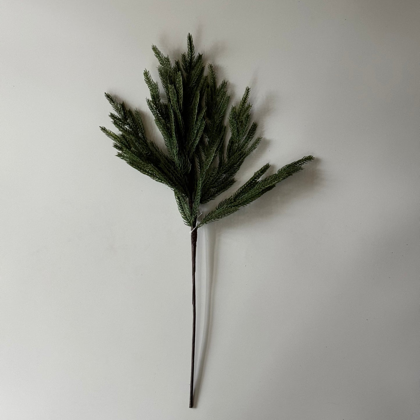 Nordic Pine Stem | 24"