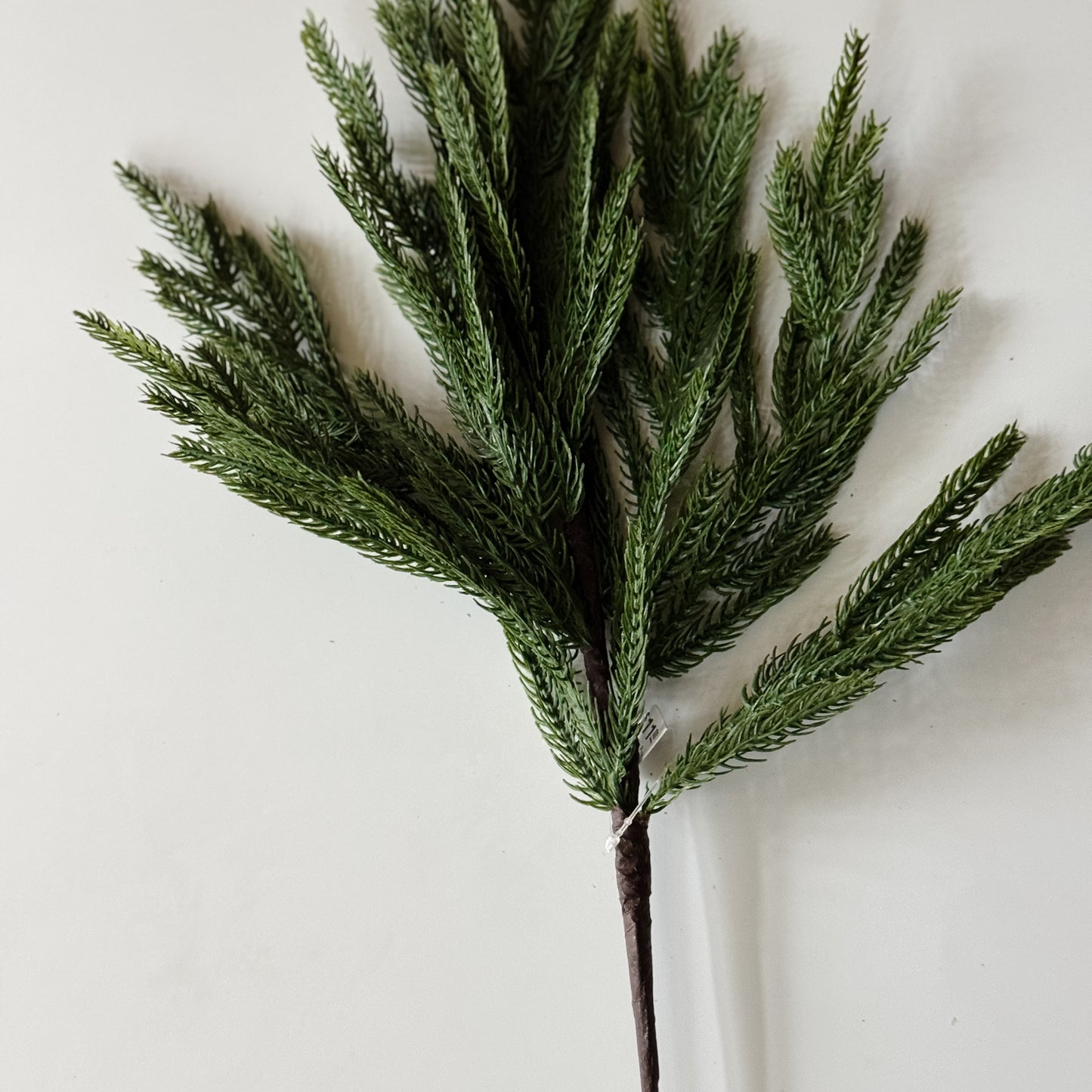 Nordic Pine Stem | 24"