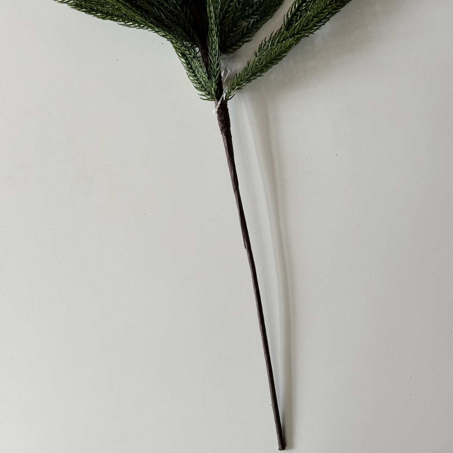 Nordic Pine Stem | 24"