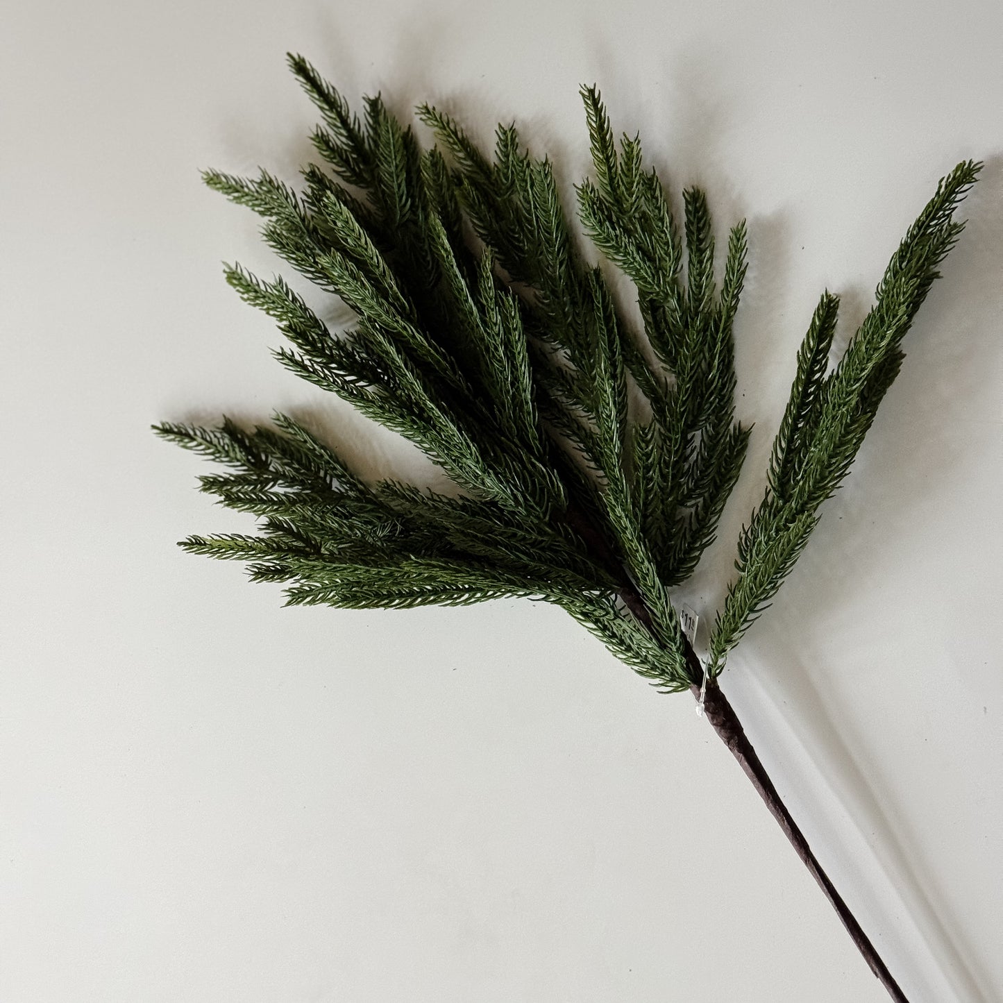 Nordic Pine Stem | 24"