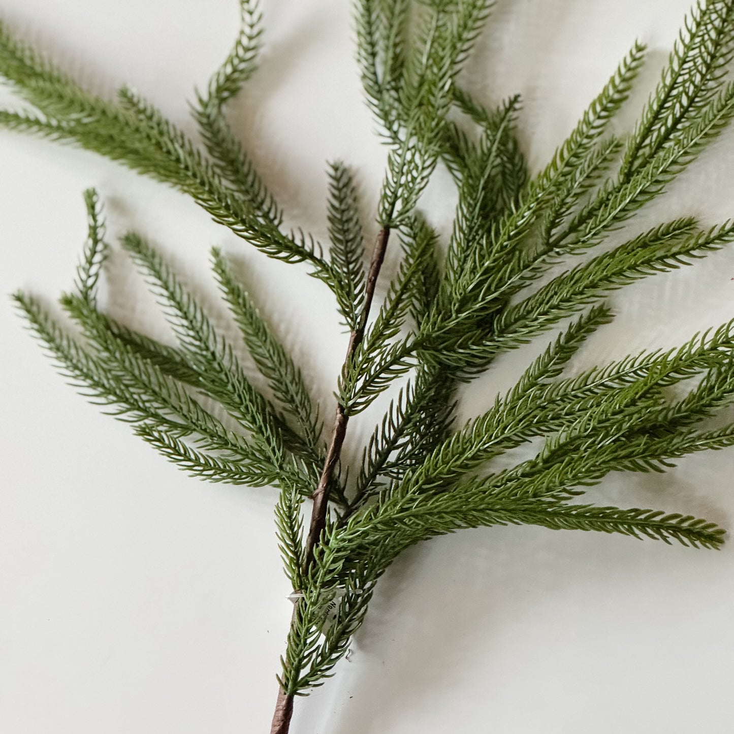 Nordic Pine Stem | 37"