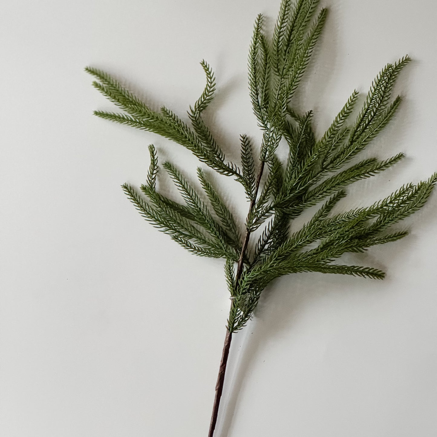 Nordic Pine Stem | 37"