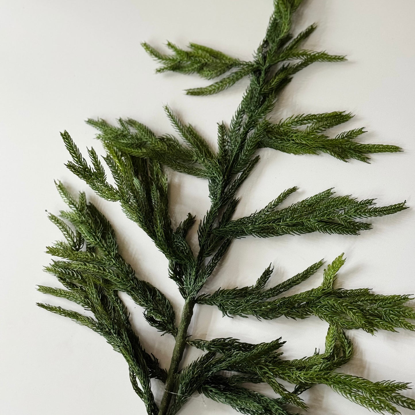 Nordic Pine Branch | 36"