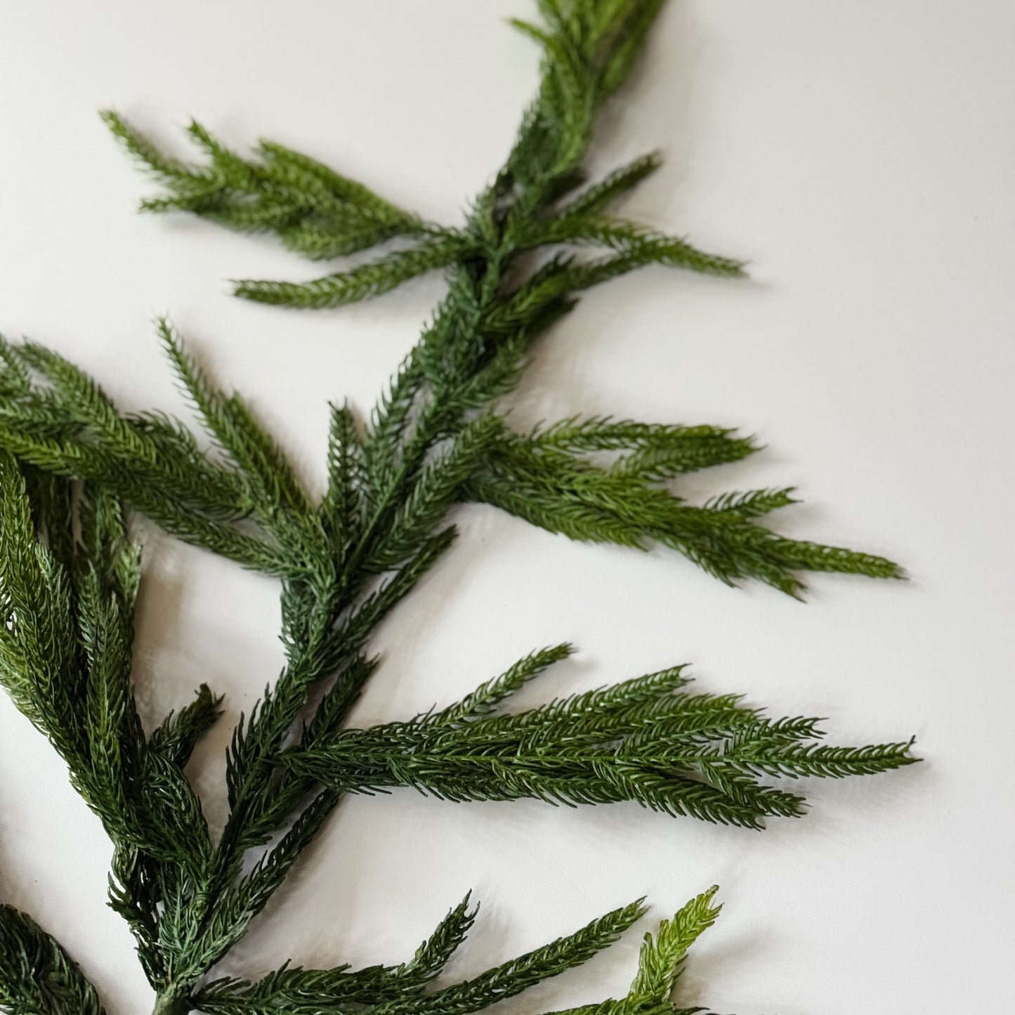 Nordic Pine Branch | 36"