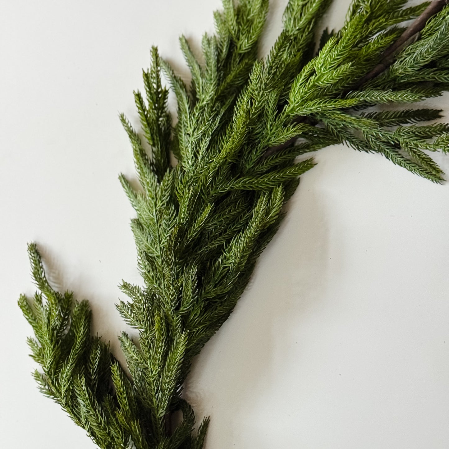 Nordic Pine Garland | 60"