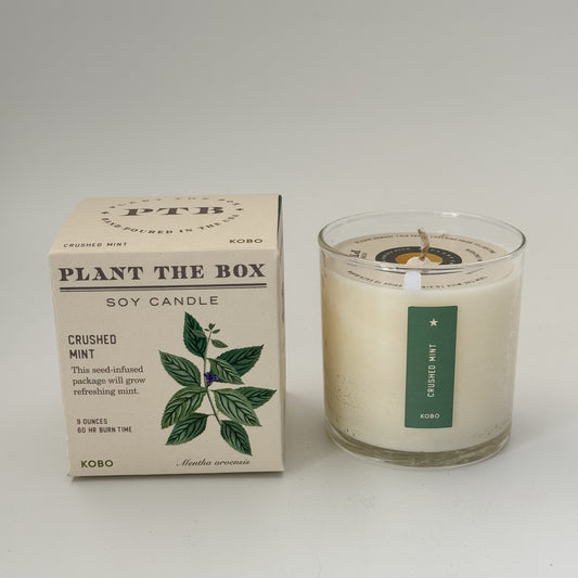 Plant the Box Soy Candle | Crushed Mint