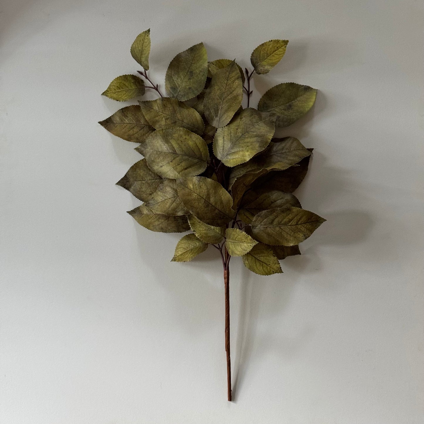 Faux Salal Leaf Stem