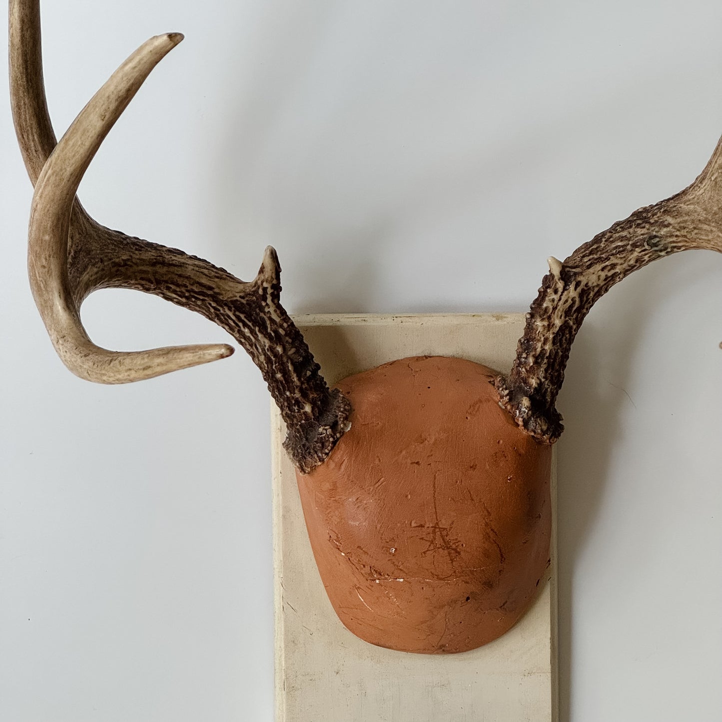 Vintage Mounted Set of Antlers