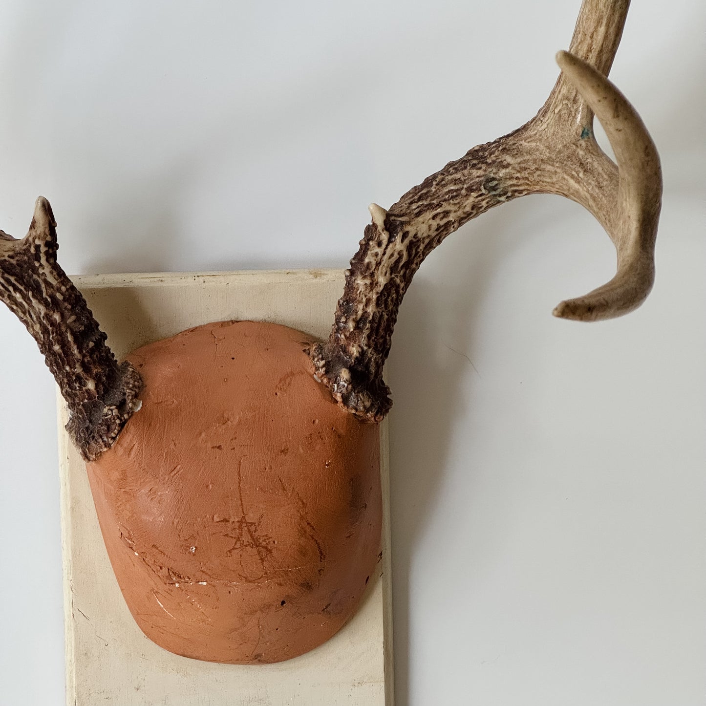Vintage Mounted Set of Antlers