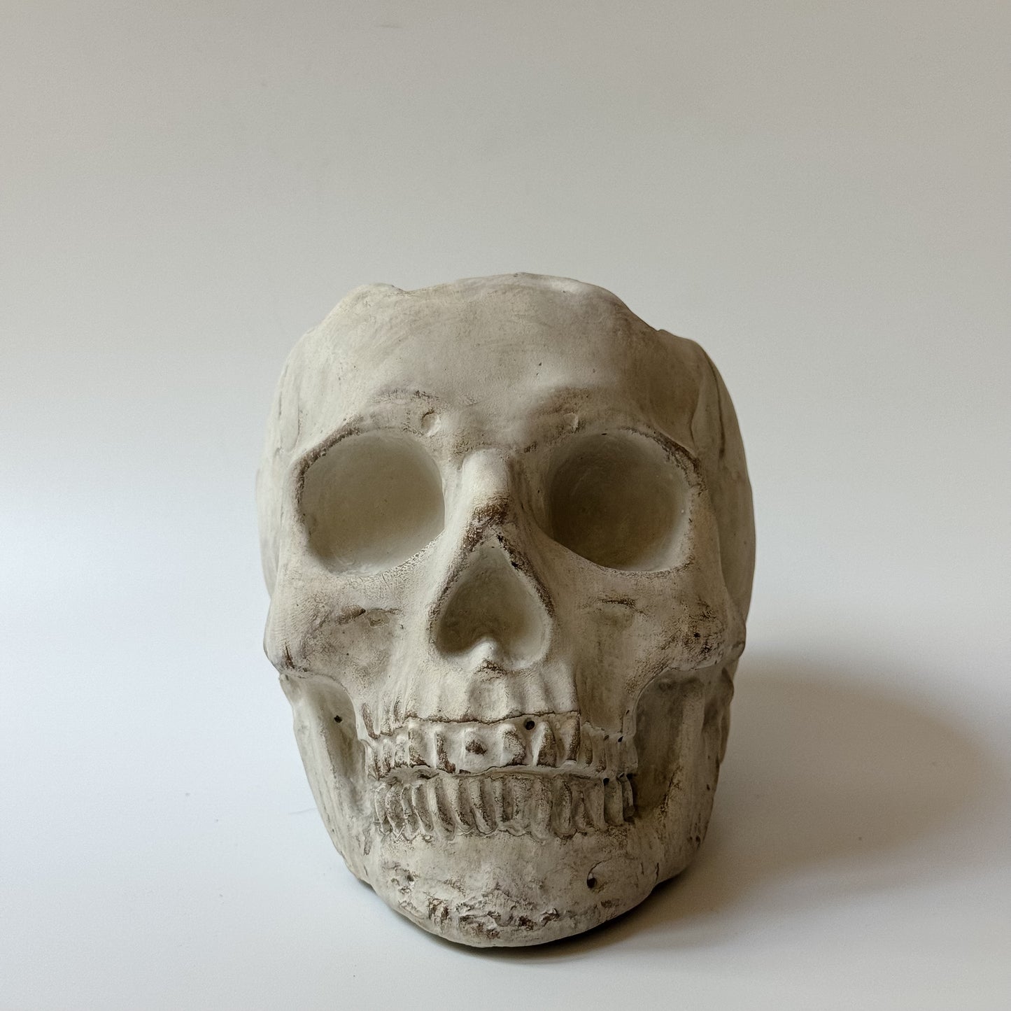 Concrete Skull Planter & Catchall