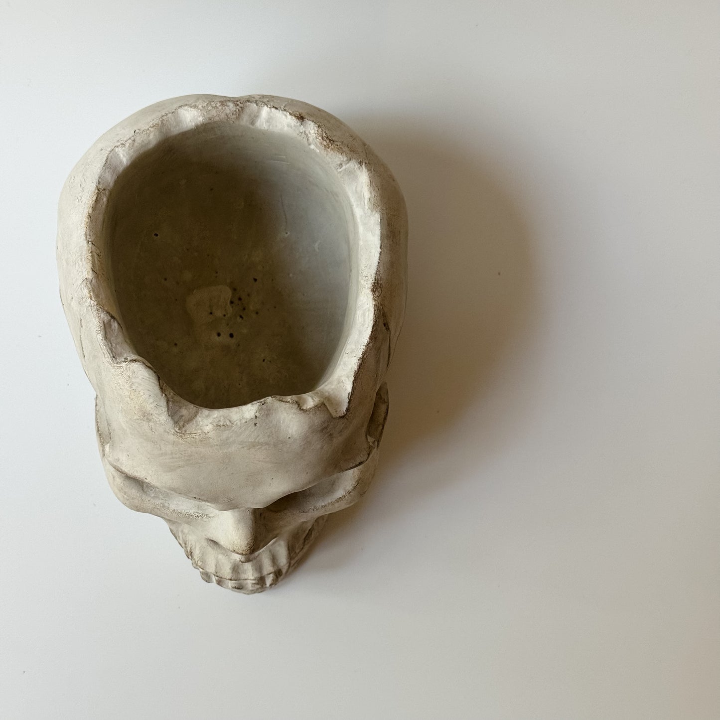 Concrete Skull Planter & Catchall