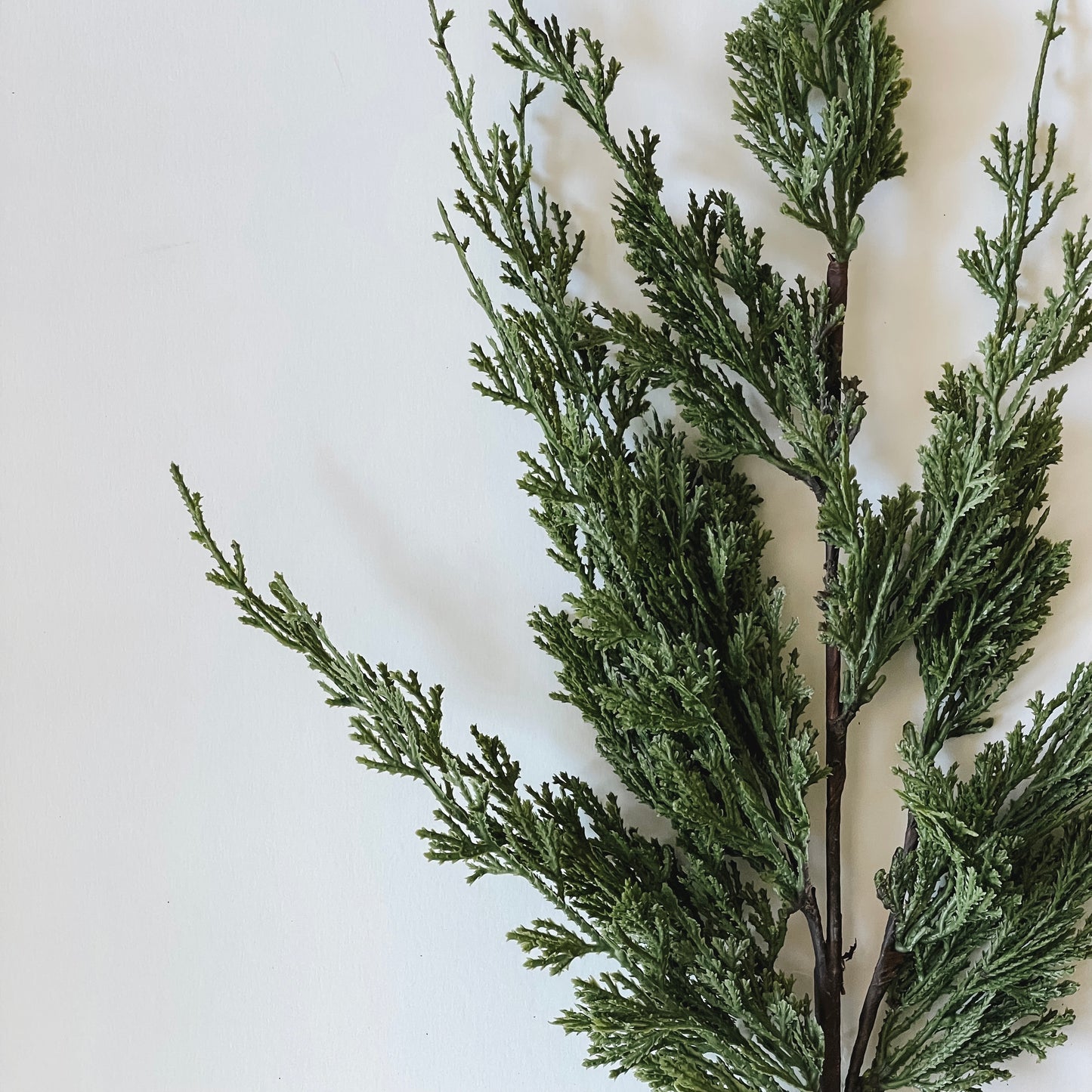 Faux Cedar Stem