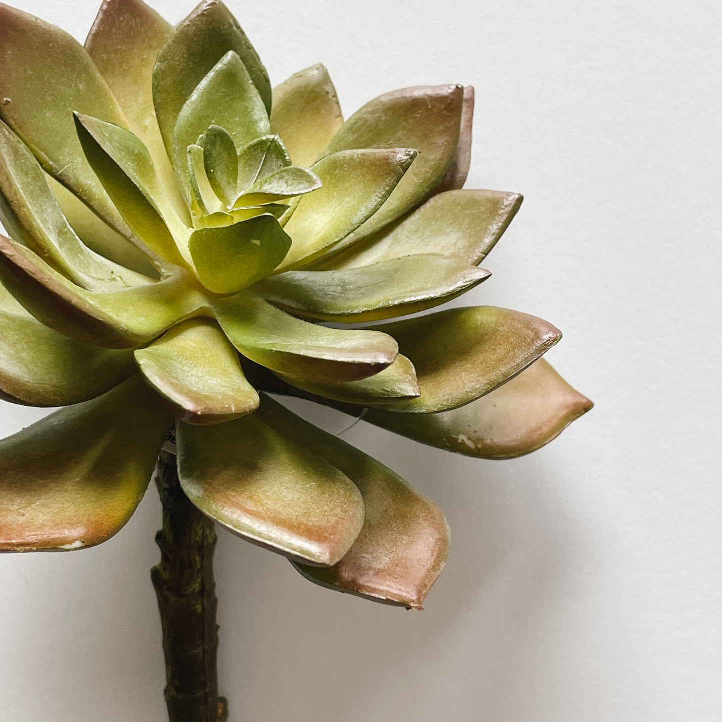 Faux Echeveria Succulent Pick