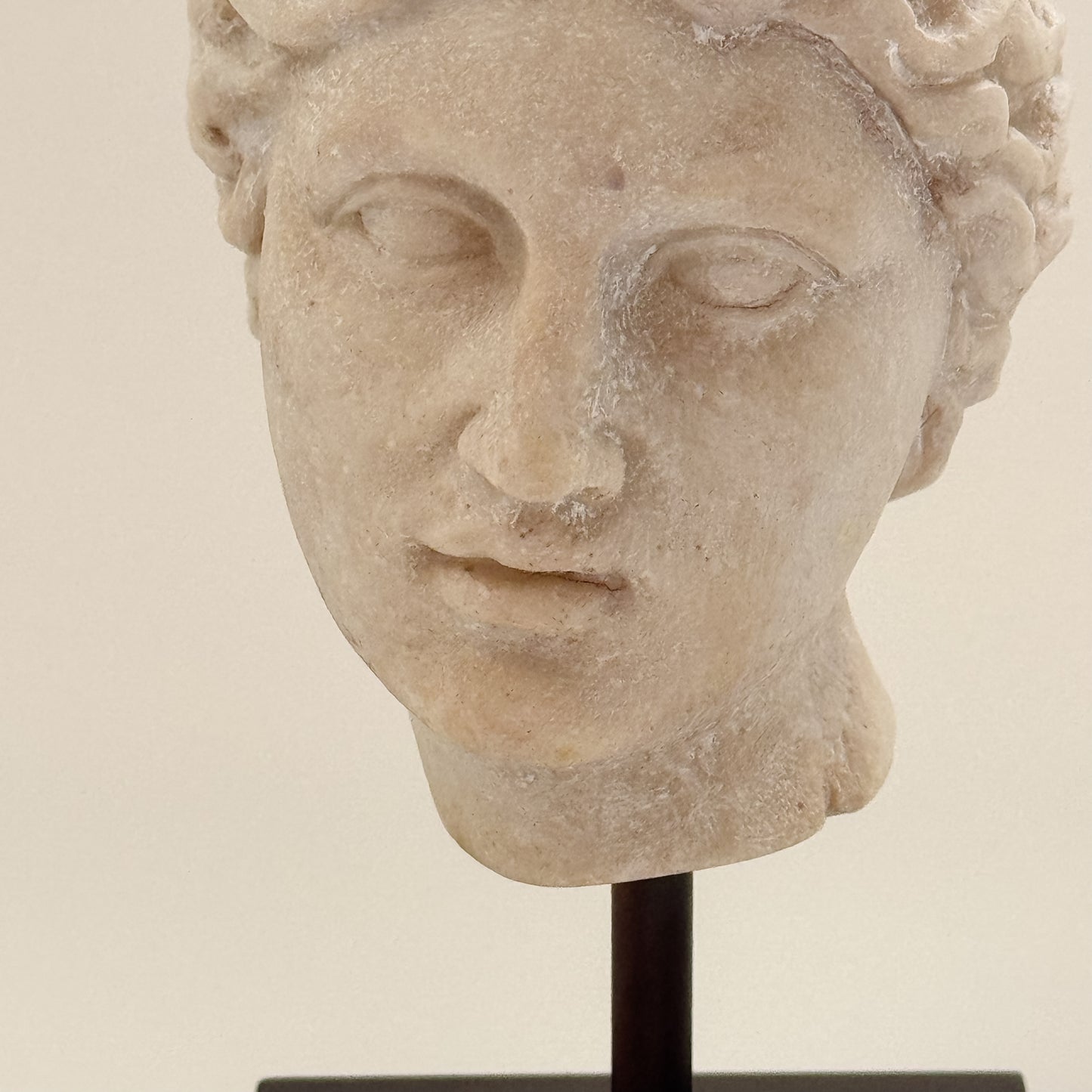 Ivory Bust