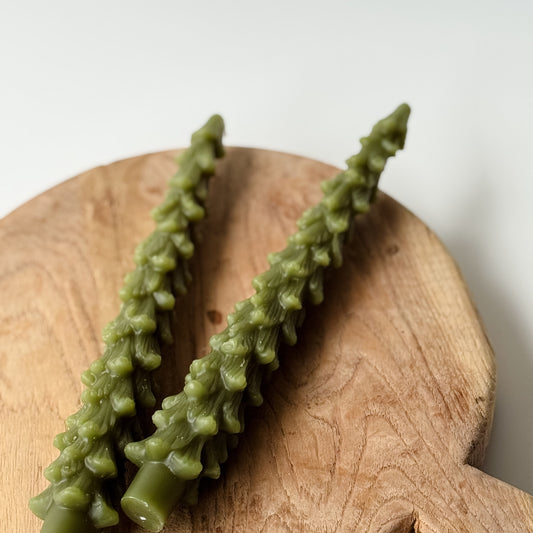 Nordic Pine Taper Candles | Olive | Set of 2