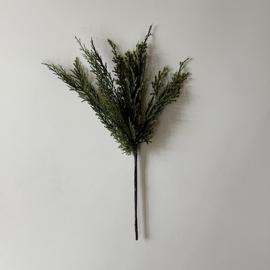 Cedar Pine Pick | 15"