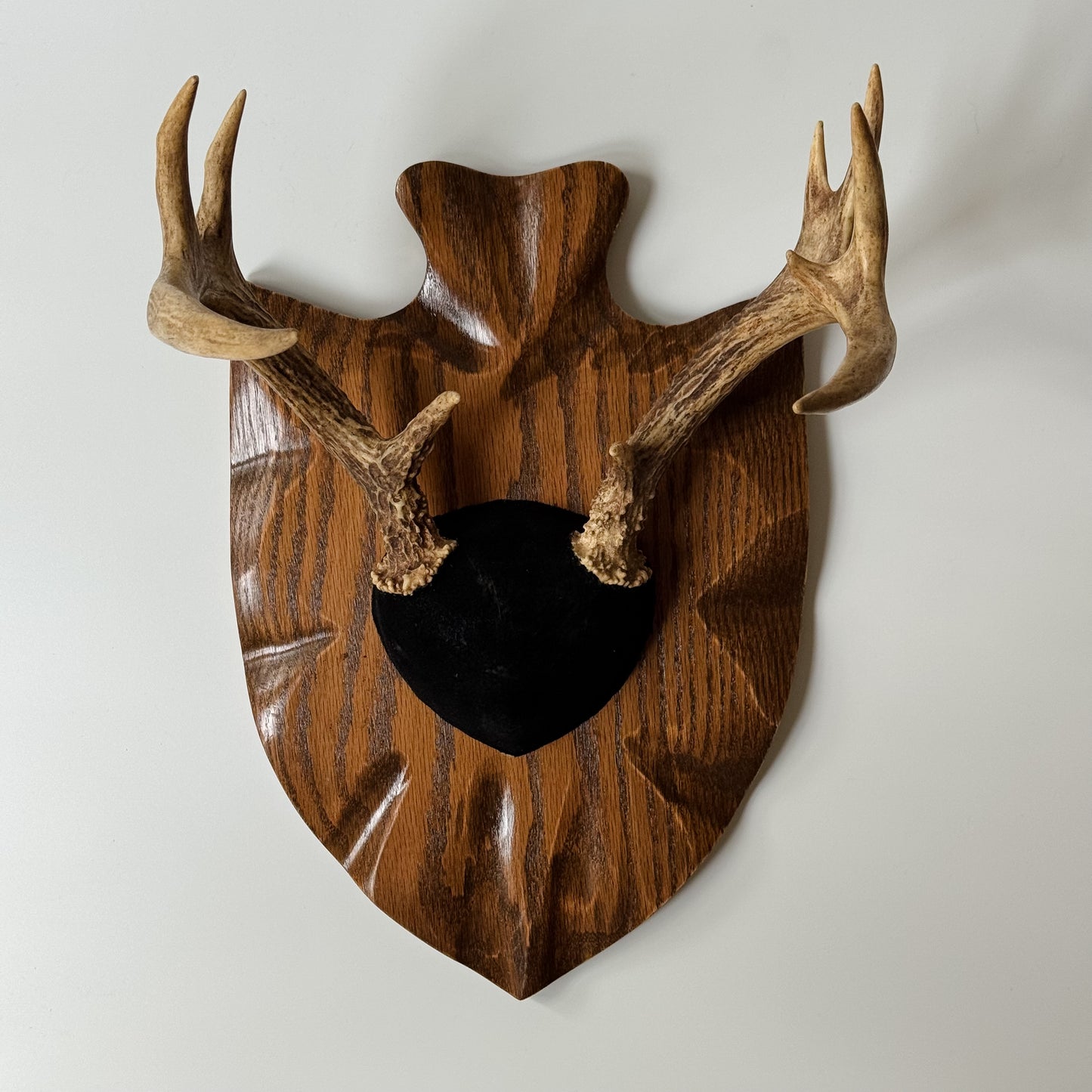 Vintage Mounted Set of Antlers