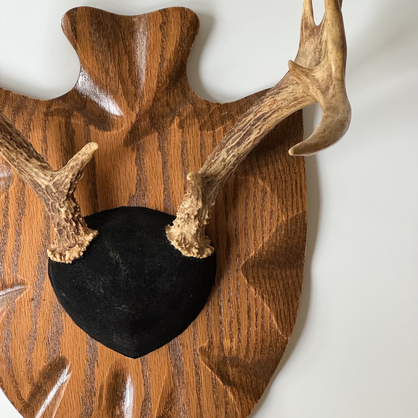 Vintage Mounted Set of Antlers