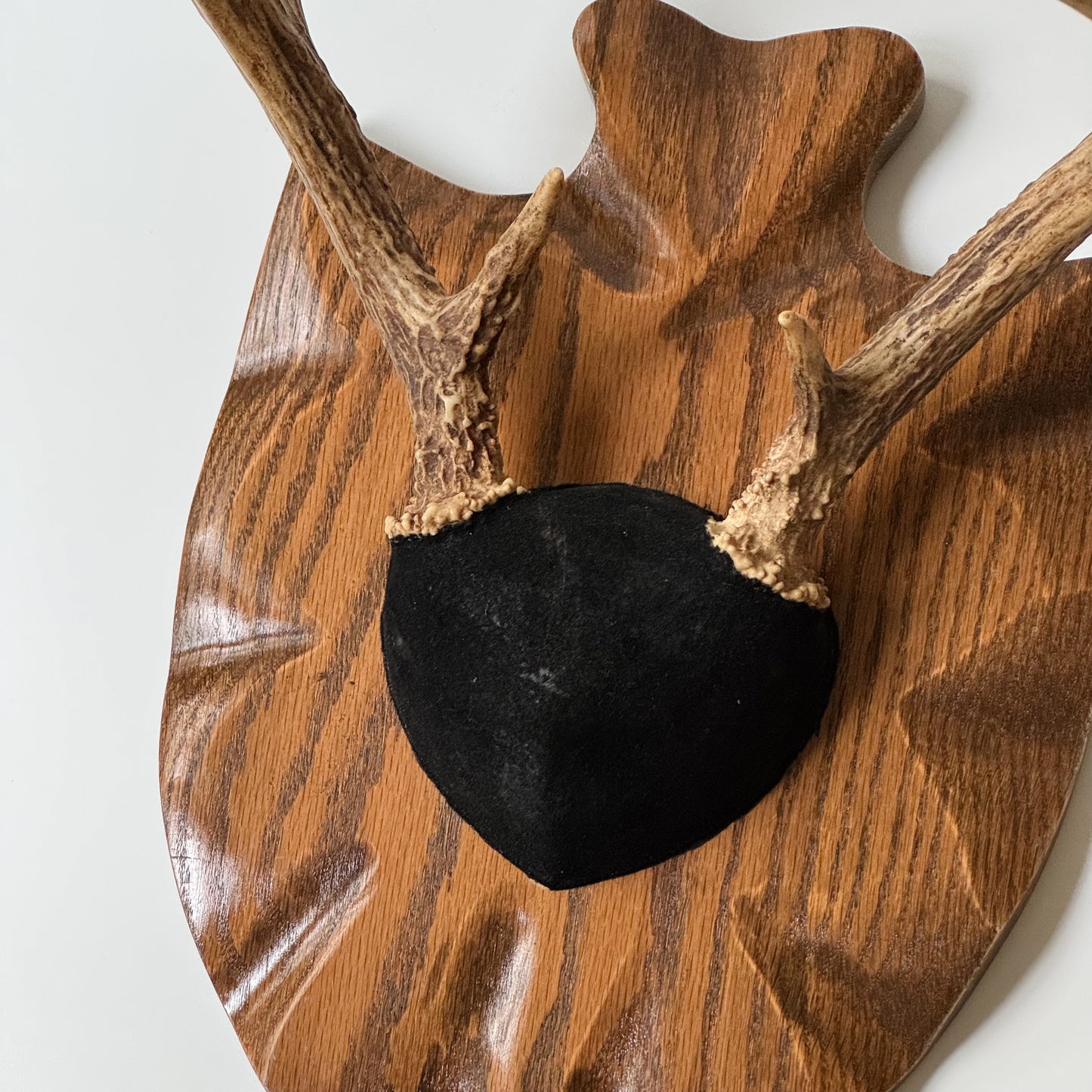 Vintage Mounted Set of Antlers