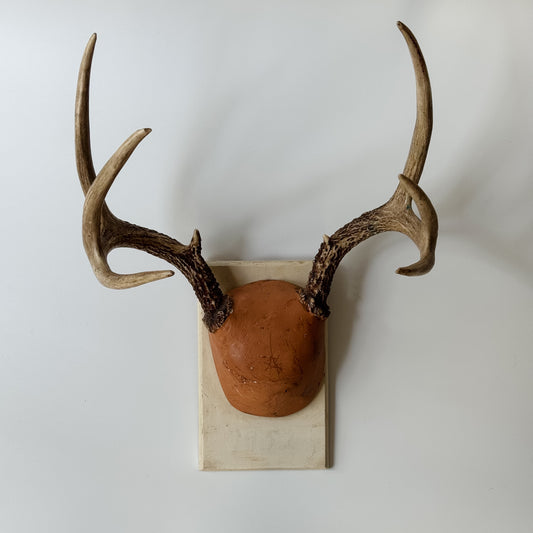 Vintage Mounted Set of Antlers