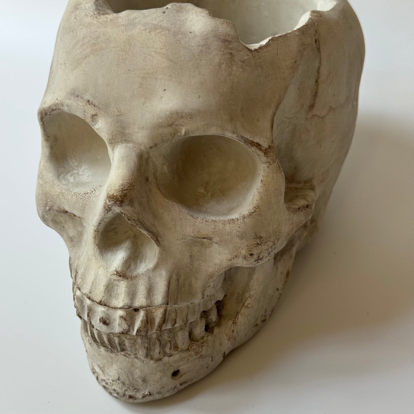 Concrete Skull Planter & Catchall