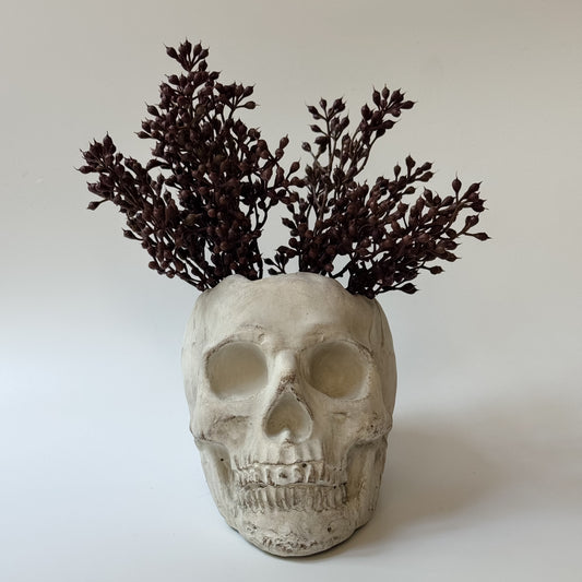 Concrete Skull Planter & Catchall