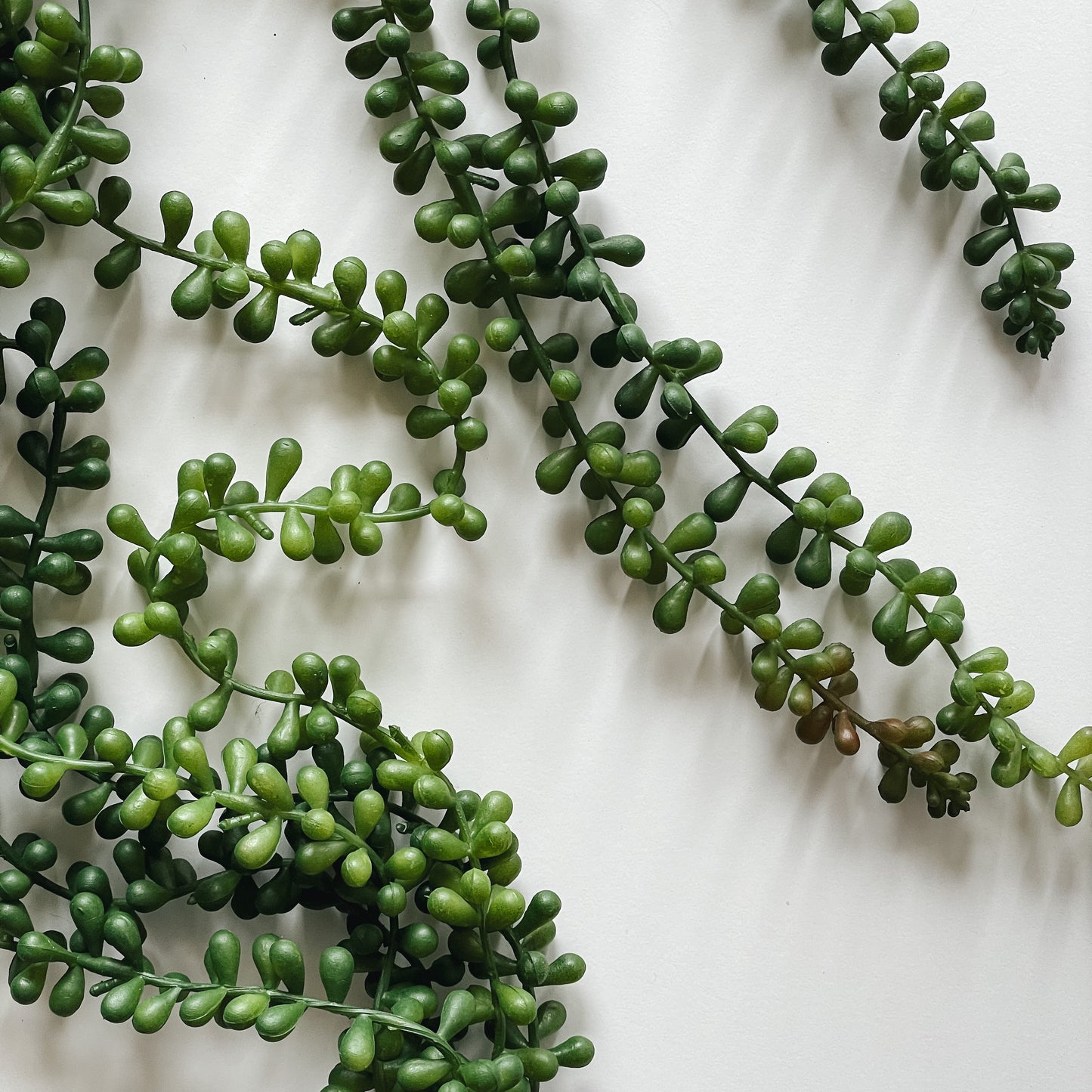 Faux Hanging String of Pearls Succulent Spray